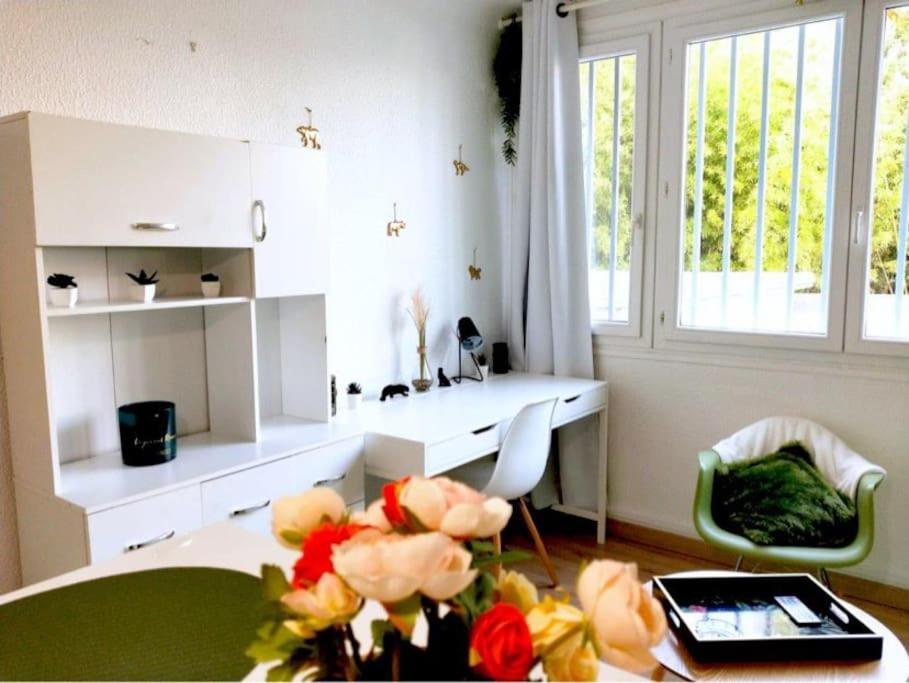 Appartamento Studio proche Centre WIFI parking Montpellier Esterno foto